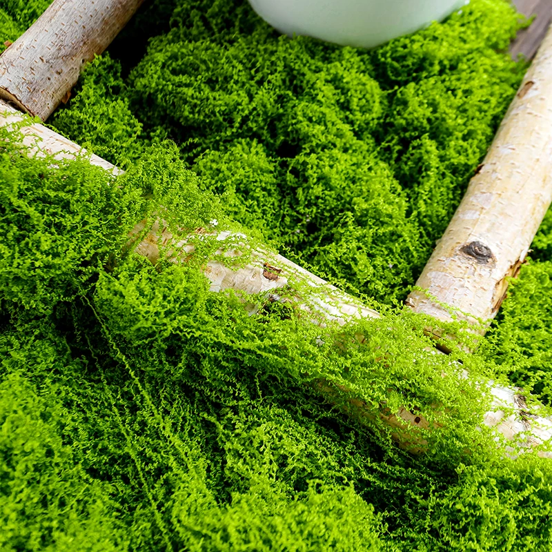 Wholesale Flocking Potted Green Moss Artificial Plant Sphagnum Peat Wall Art Office Decor
