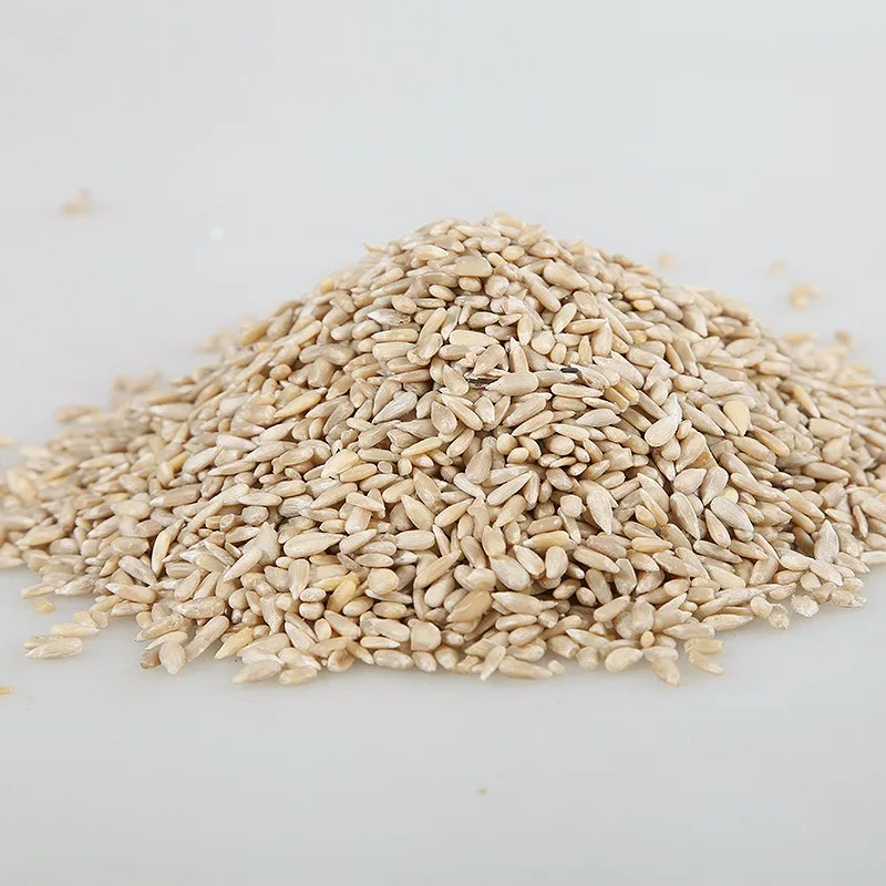 2024 New Crop Sunflower seed kernels
