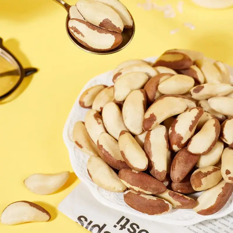 Brazilian Abalone Fruit Premium Quality Brazil Nuts