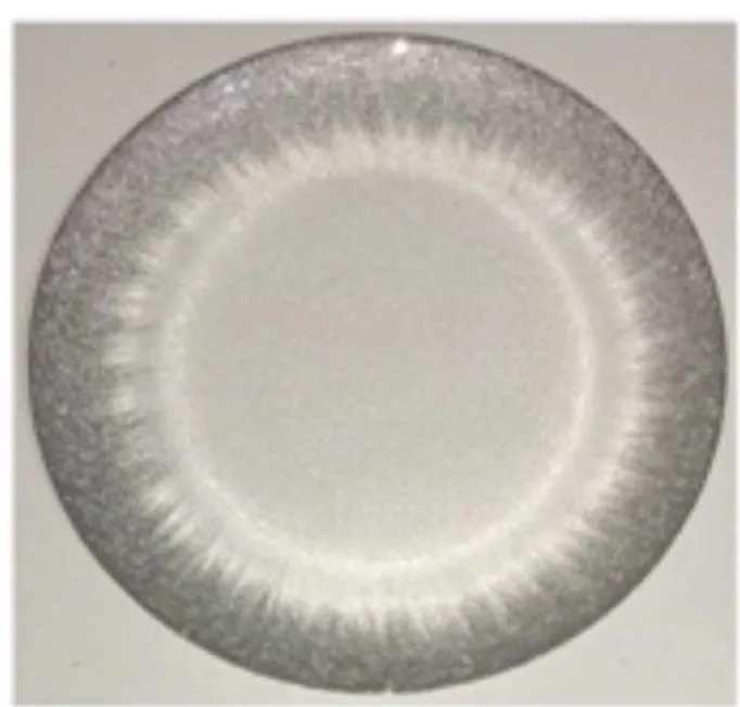 BST wholesale wedding glass charger plate clear plastic party gold leaf table dinner charger plates