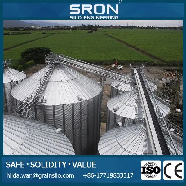 Customized 1000kg Silo for Corn Wheat Soybean Flour Storage