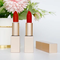 Esene L-LG09 wholesale OEM ODM colorful high pigment nourish silky glossy lipstick (new) lip cosmetics