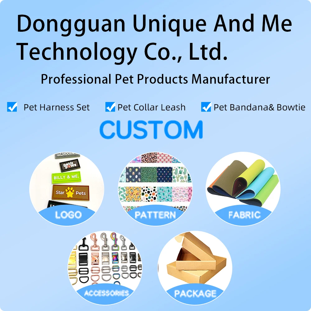 Step In Padded H/Y Shape Dog Harness Manufacturer Customize Logo Colors Adjustable Pet Harness Leash Set