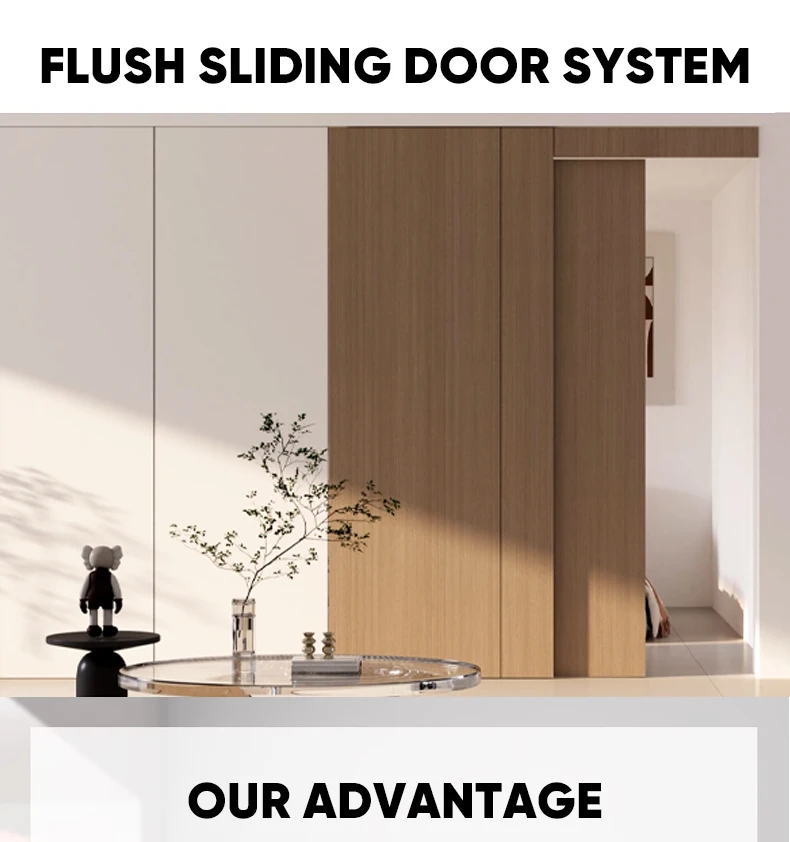 Temax Classic Style Office Partition Manual Weather-Resistant Sliding Door furniture accessories