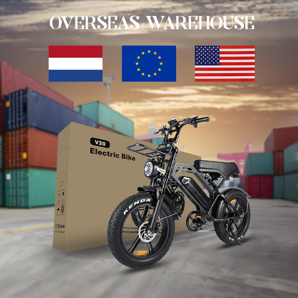 Holland Warehouse  Lithium Battery Fat Tire Electric Bike OEM 48V Rear Hub Motor Electronic Bike 1000w Electric Bicycle