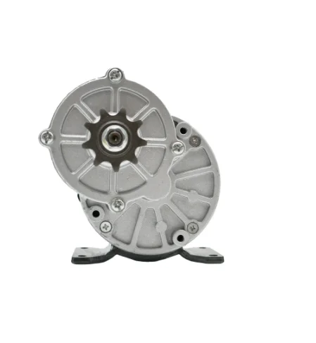 My1016z2 250w 24v Dc Electrical Vehicle Motor With Speed Controller For Electric Bicycle