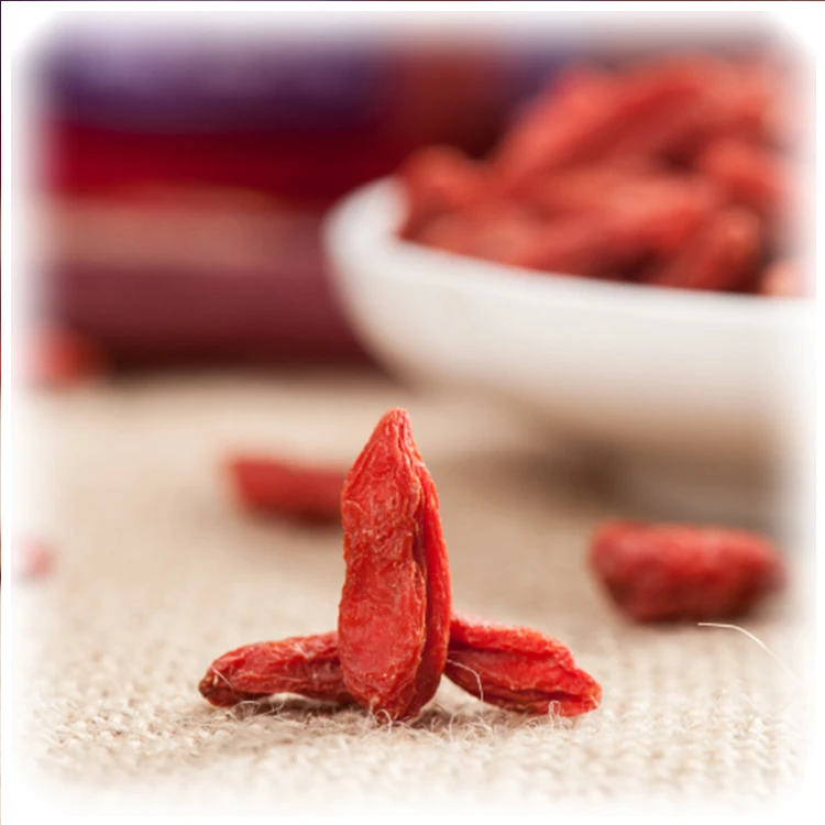 Red Power QIZITO aldi a lexportation noir baie de goji bio goji berries,organic wolfberry goji berrie s dried