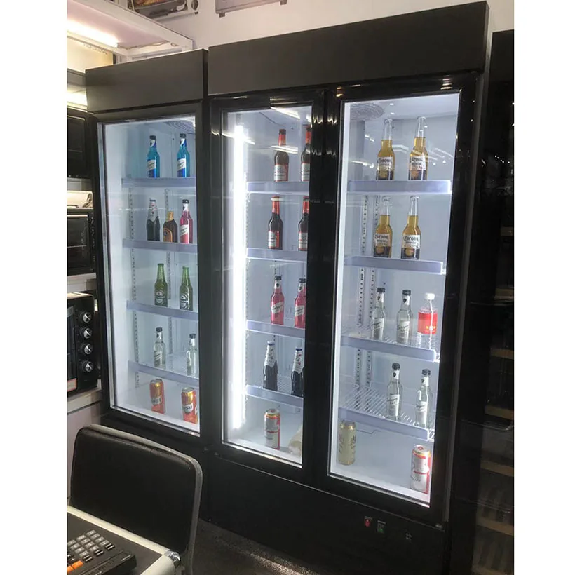 Painted Steel Fan Cooling Plastic Coated 220V Supermarket Glass Door Merchandising Cooler Beverage Refrigerator