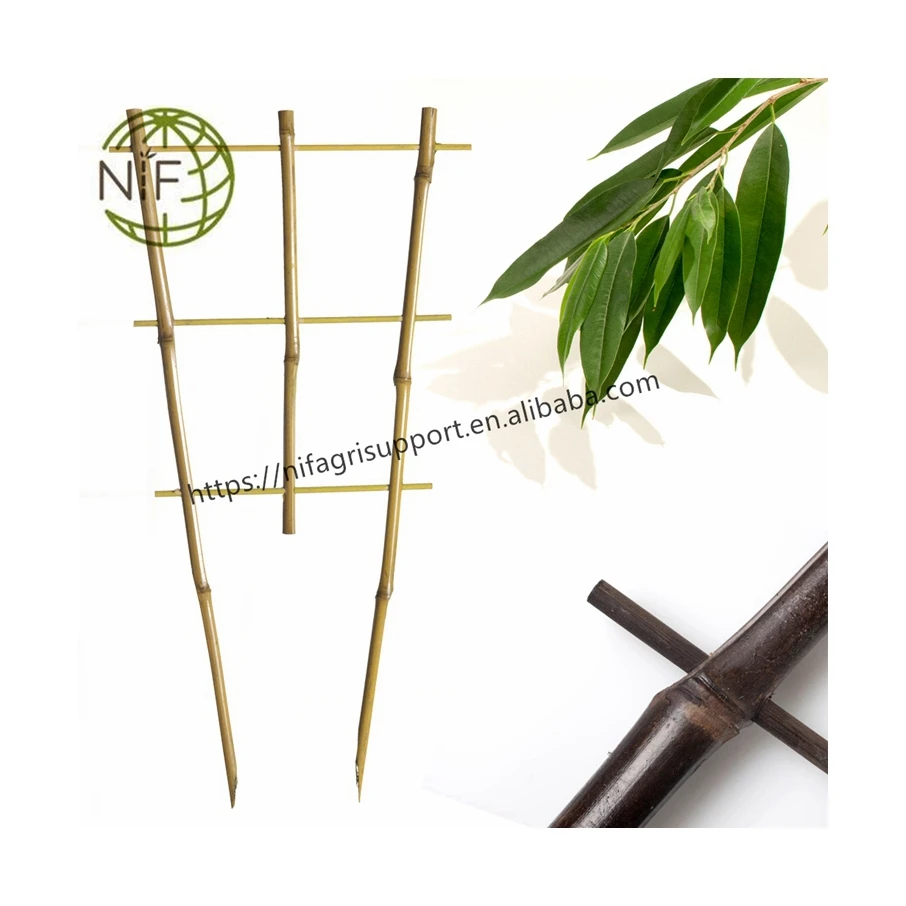 NIF New arrival latest design ladder orchid trellis bamboo trellis indoor