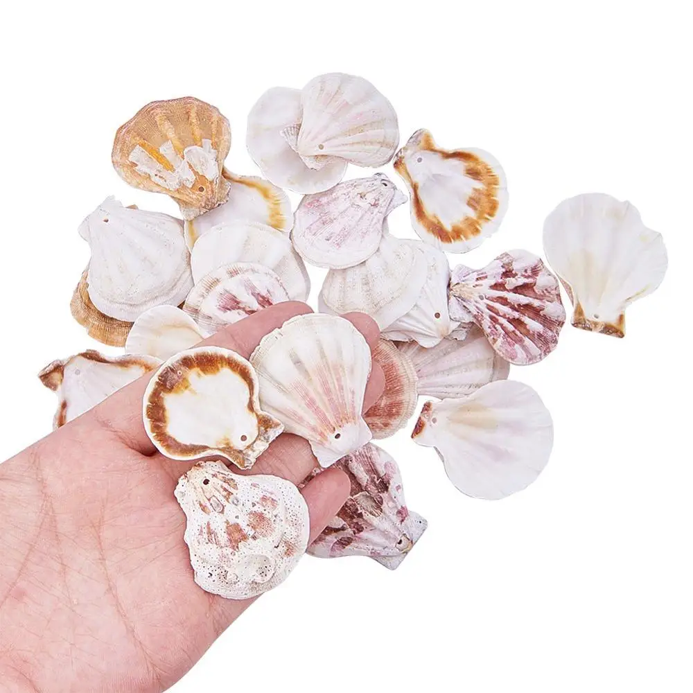 Bulk Price DIY Natural Scallop Shells With A Hole  For Home Decor DIY Jewelry Making