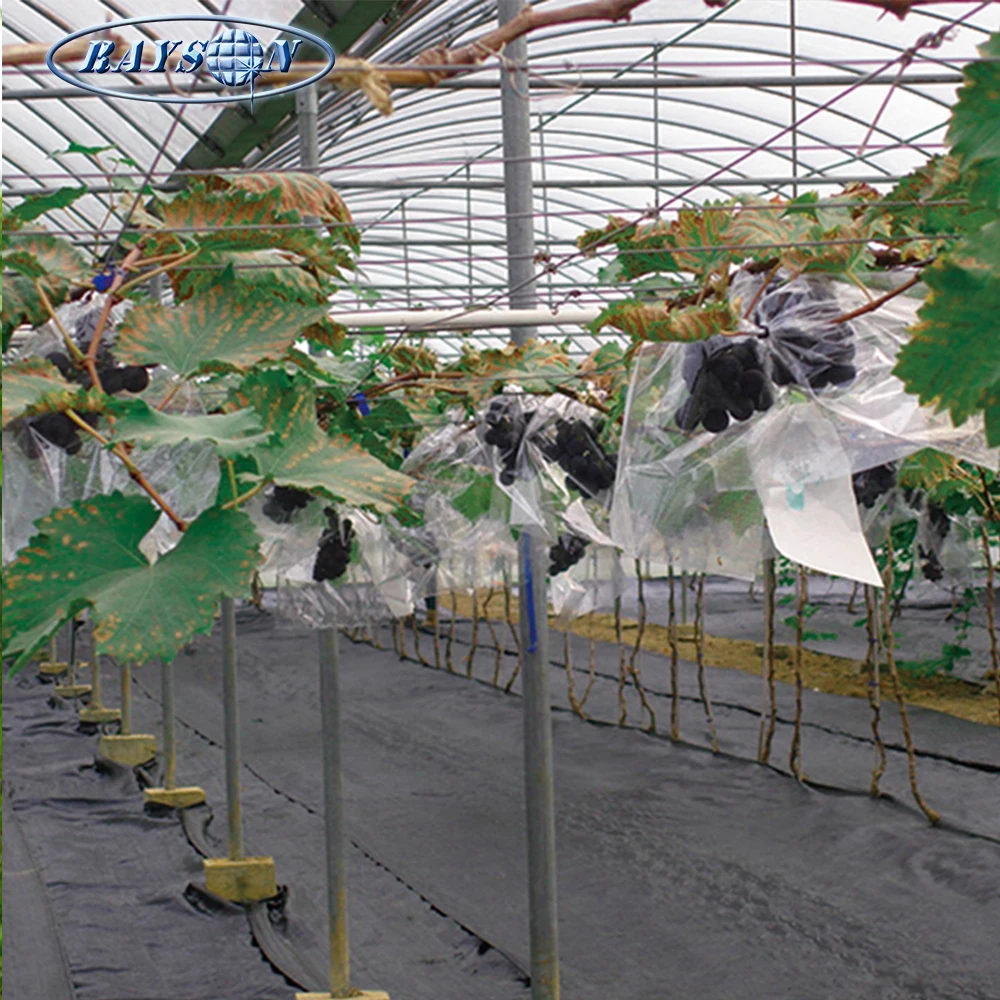 
Top Selling Products Nonwoven Agriculture Fruit Protection Bag Nonwoven Grape Bag 