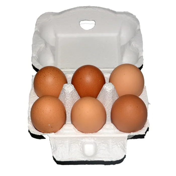 Wholesale  Egg Carton Paper Egg Carton 6Hole Pulp Packaging  Paper Trays For Egg