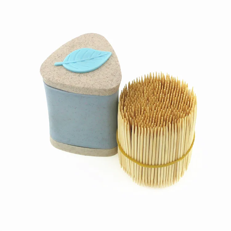 
Biodegradable Toothpick Bottle Disposable Oral Box Bamboo Tooth Pick 