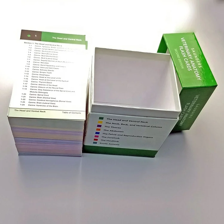 Custom Printing veterinary Anatomy Flash Cards  Extra Large Educational customized only