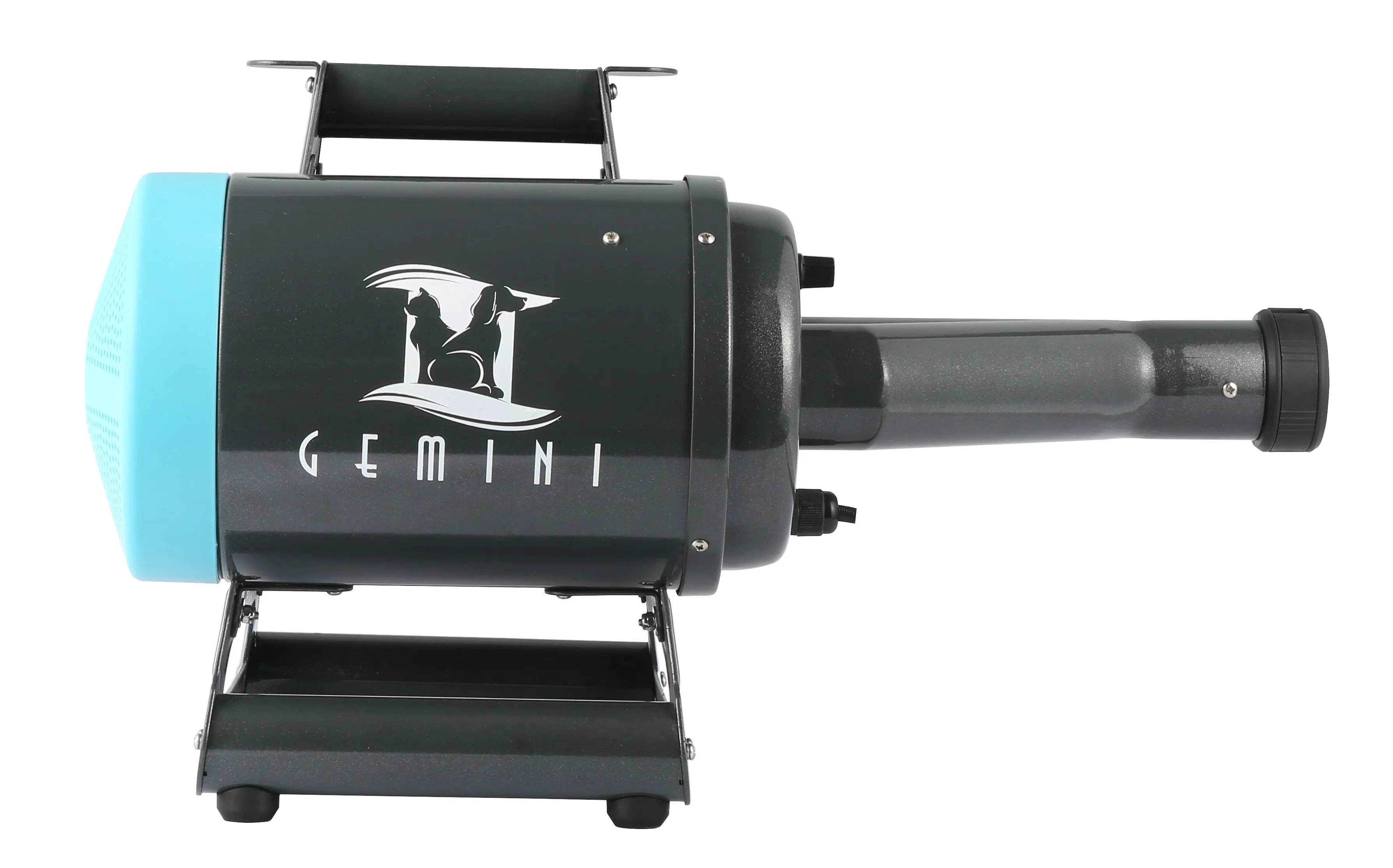 TD-900CG Aeolus Wholesale Striking Blow Force 1250grams Gemini Parallel Dual Motor Hair Dryer for
