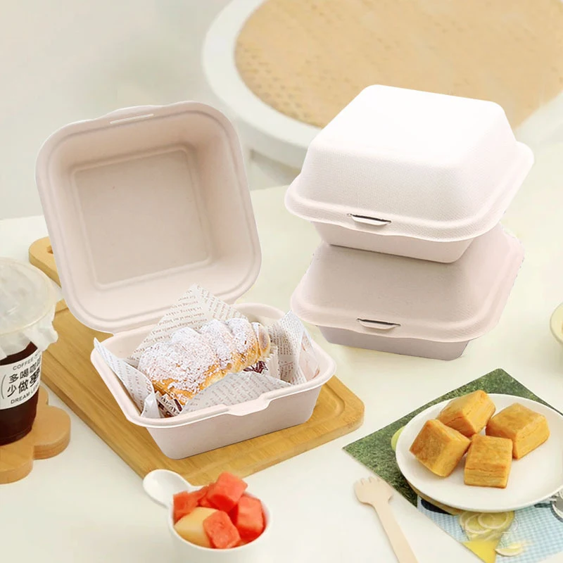 10X10X5 Large Moon Design Round Disposable Bento Paper Cherry Blossom Transparent Recyclable Gift Packing Cake Box For Cake