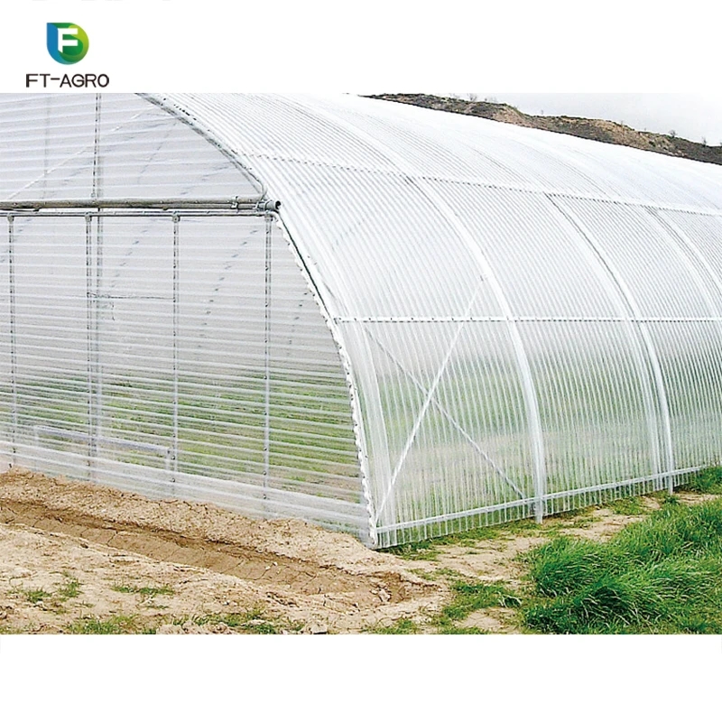Agricultural business tunnel greenhouse with complete system