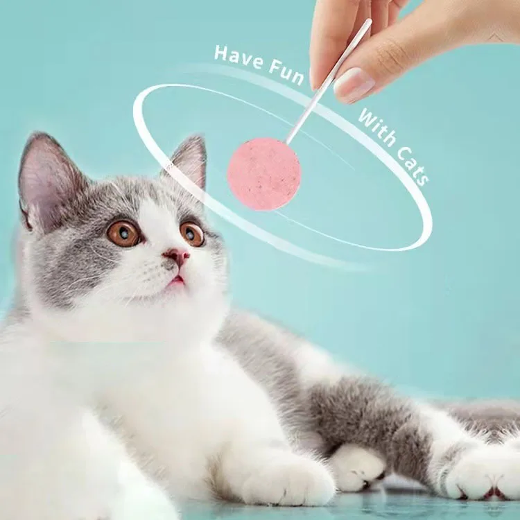 Pet Supplies OEM Custom Wholesale Delicious Natural Healthy Chew Organic Freeze Dried Lollipop Cat Treats Snacks