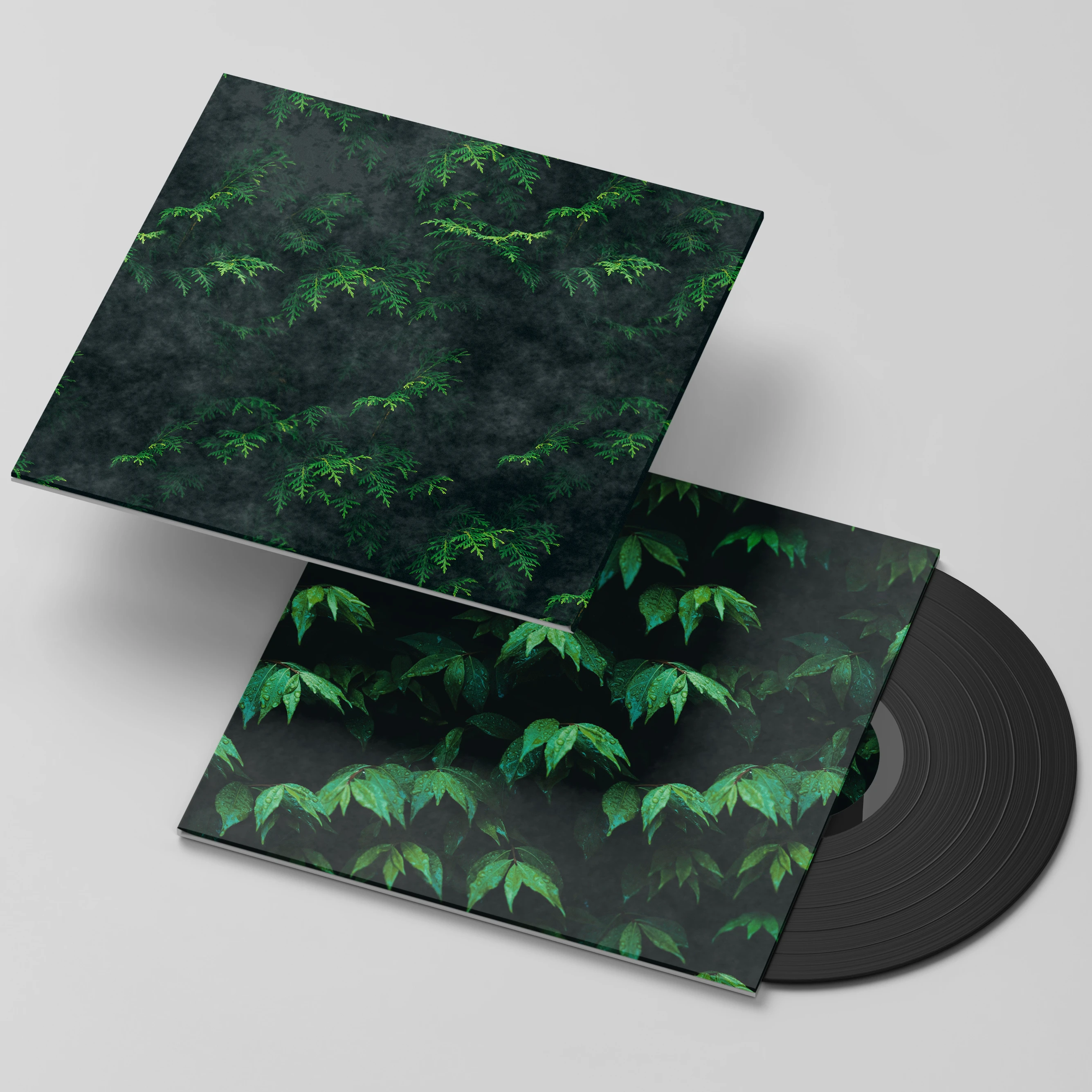 OEM  Vinyl Record Music Customized Disk Replication & Printing