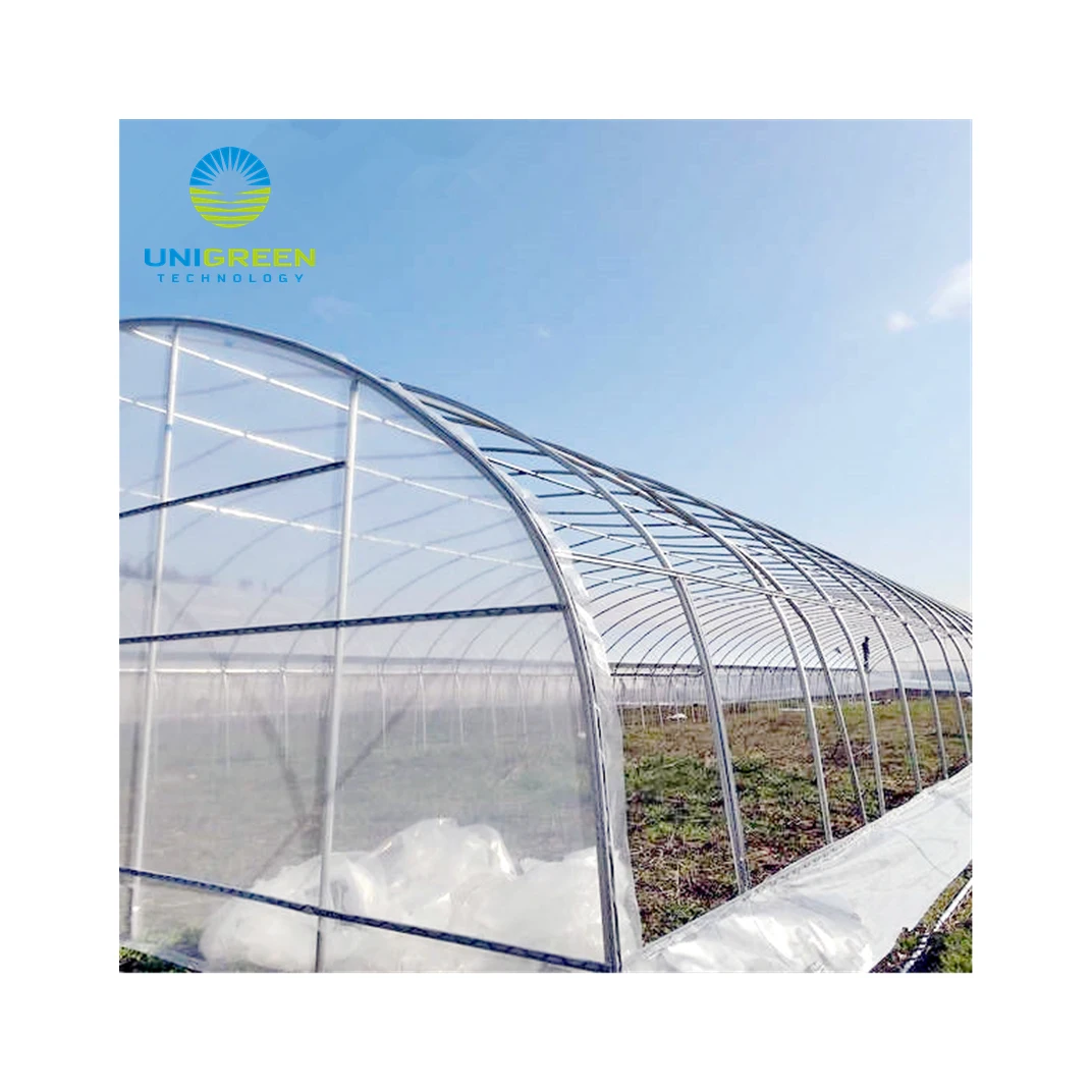  Factory Direct Selling New Type Multi-Span Flowers Vegetables Plant Aluminum Greenhouse Manufacturer