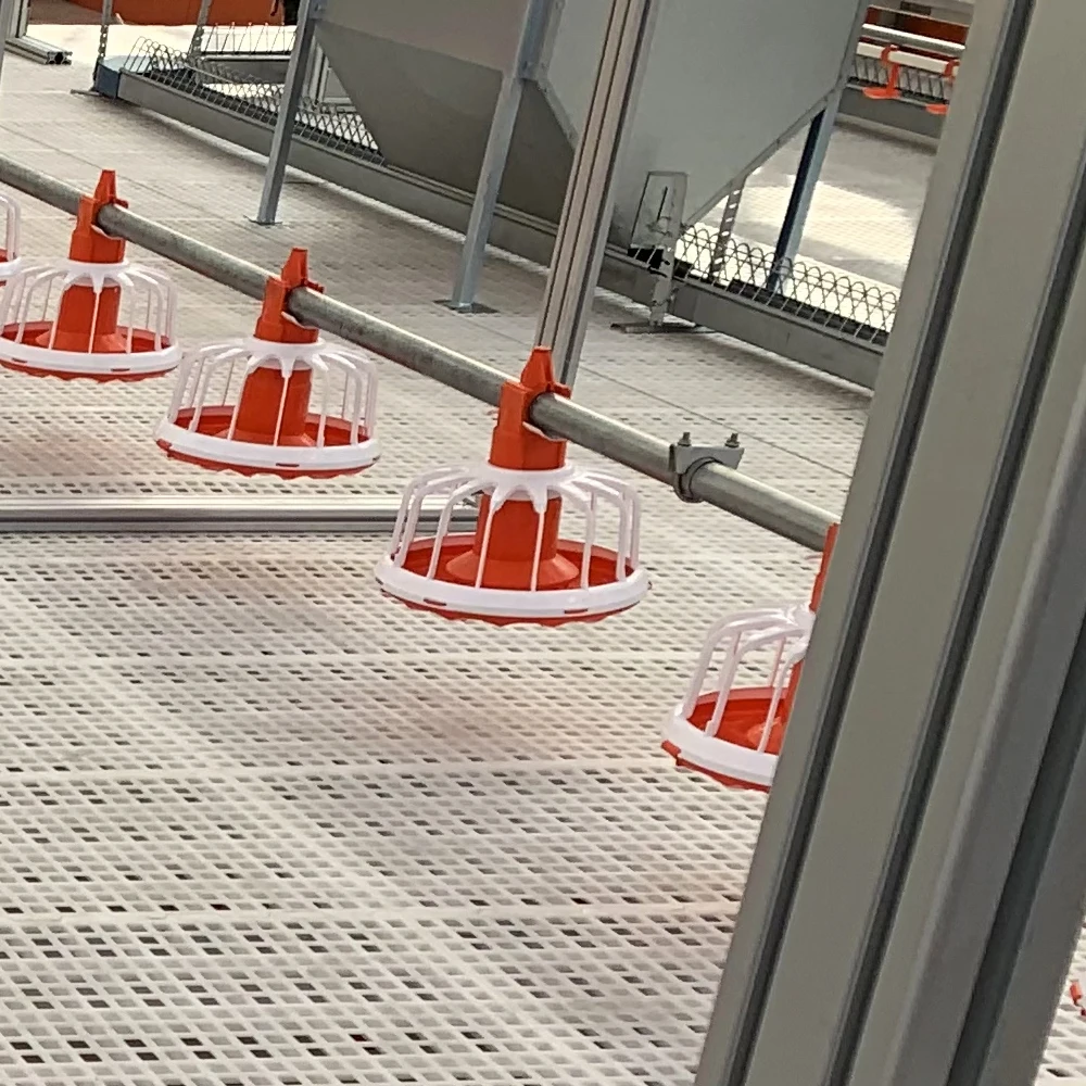 
Complete Poultry Project Solution Supplier!!Poultry automatic used broiler equipment Farm Broiler Pan Feeding System 