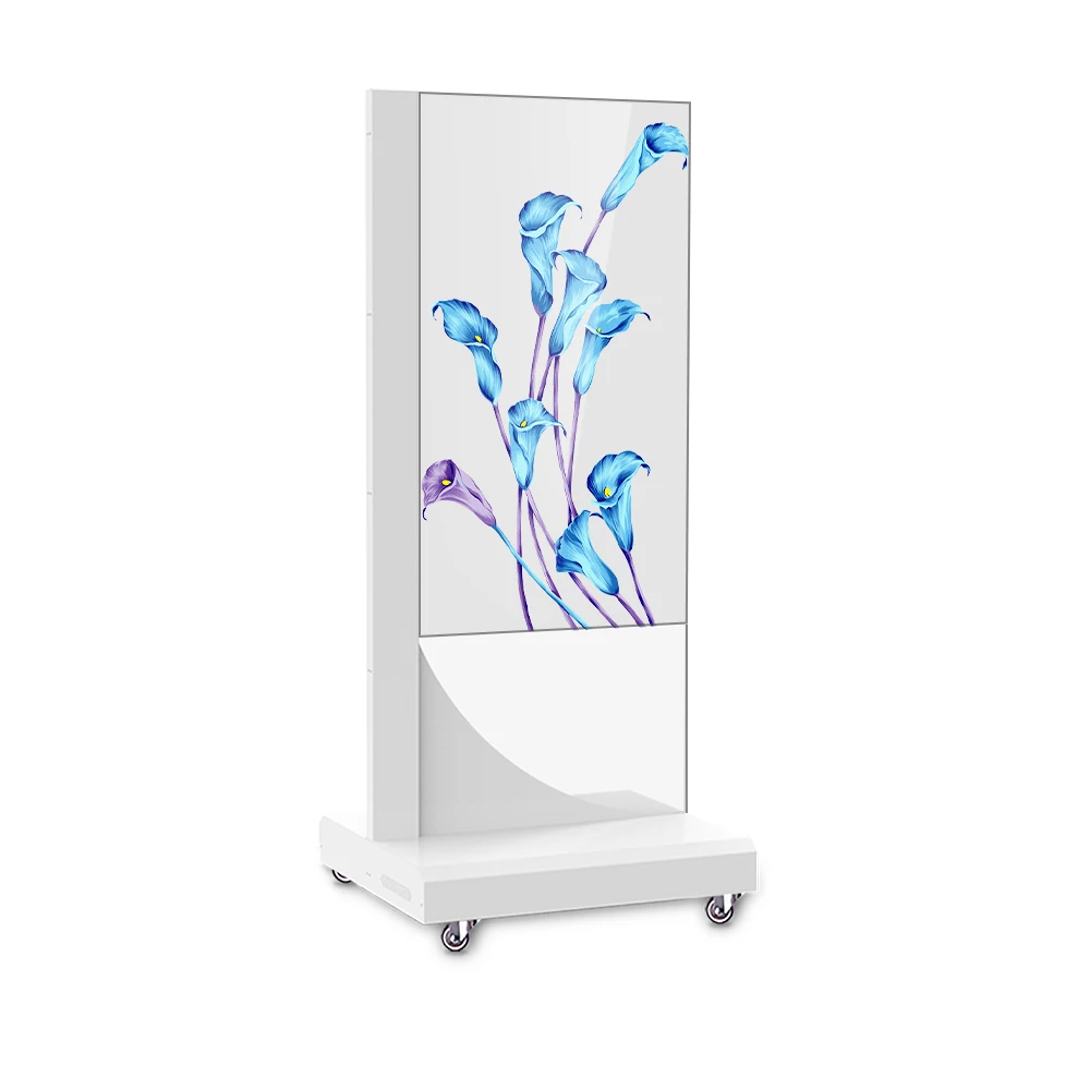 Top-Grade 55 Inch Transparent OLED 4K Resolution HDR for Digital Signage Gaining Popularity Worldwide