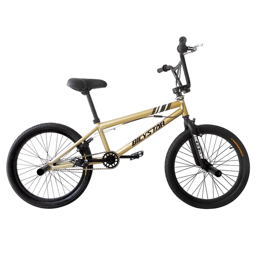 flatland bmx bike dirt jump bicycle for sale