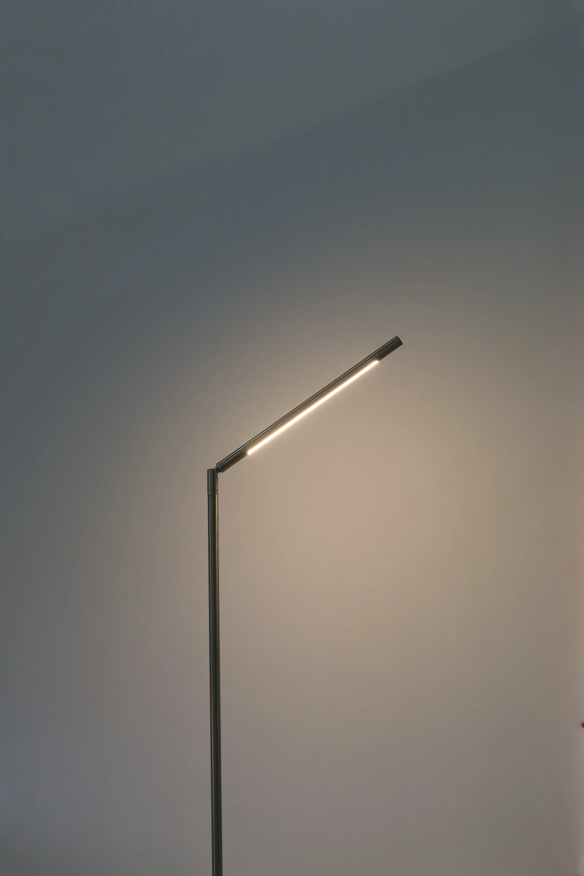 Chinese Modern Designer Industrial Floor Lamp Portable Indoor LED Floor Lamp