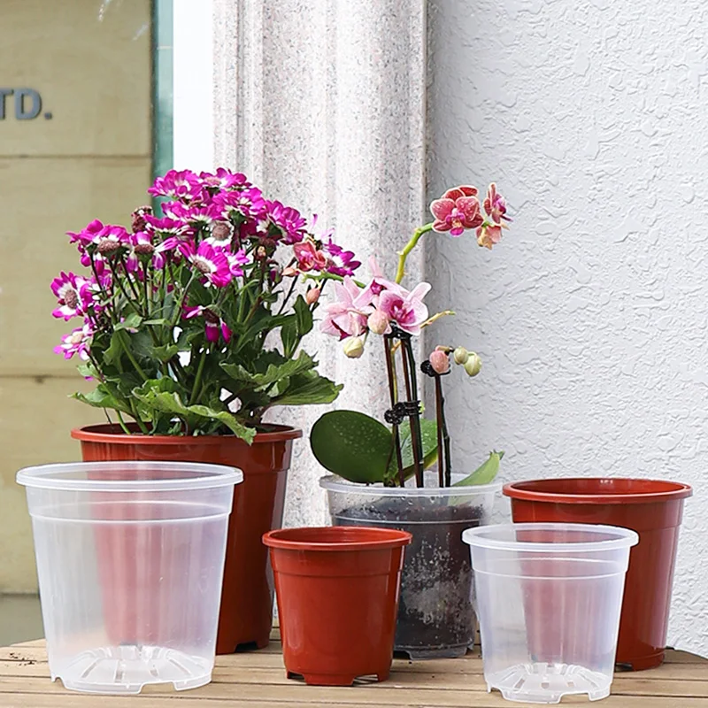 Transparent green mountain root control pot orchid water moss phalaenopsis plastic breathable Dendrobium