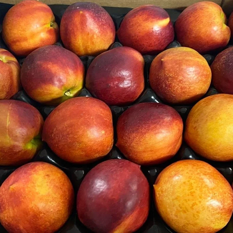 
 Персик премиум-класса/свежие нектарины для продажи  