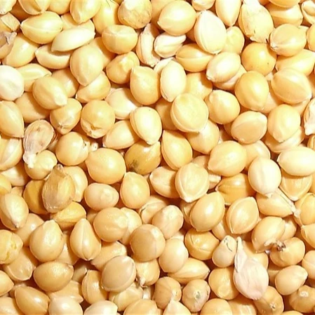 
 Белая кукуруза из проса по низкой цене  