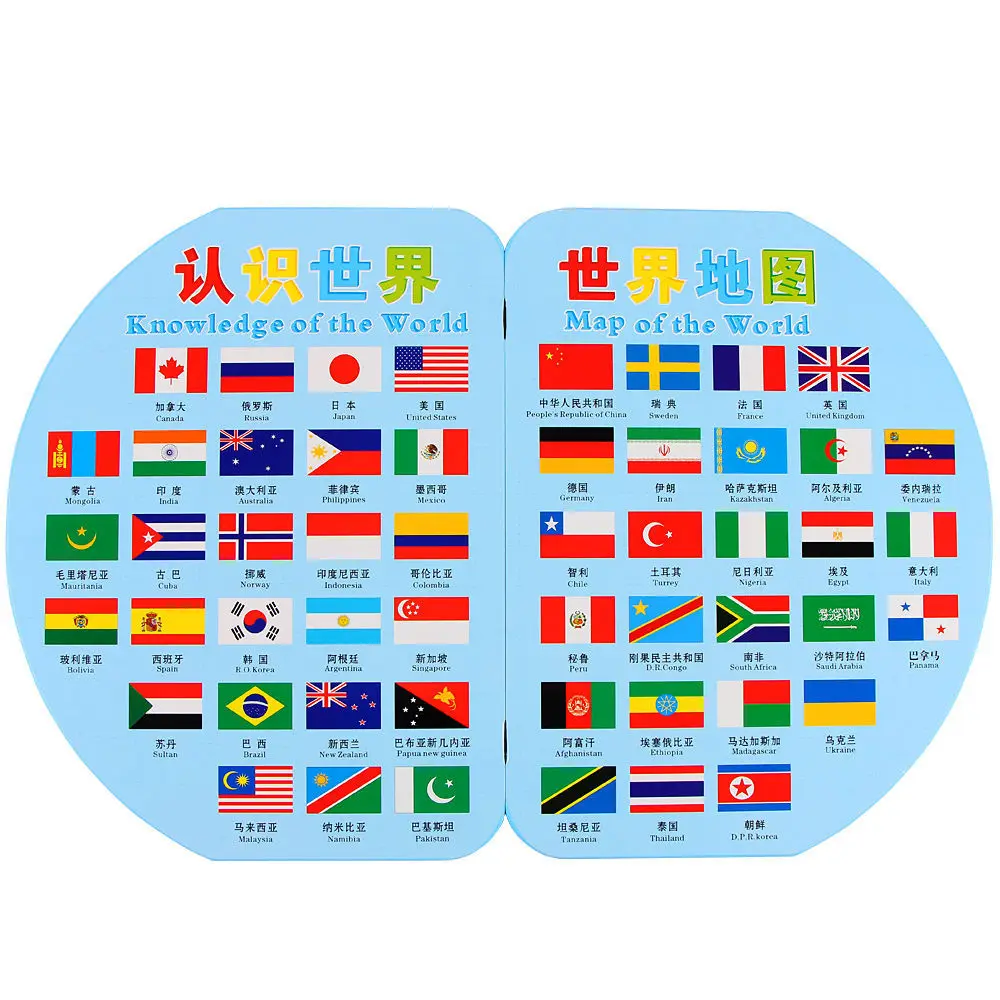 Baby Geographical Knowledge with National Flag Cognitive Toys Wooden 3D World Map Flag Toy