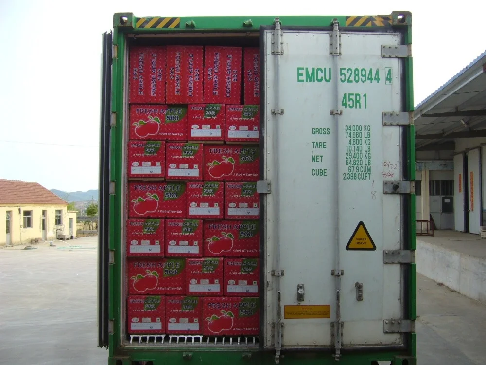 
Fuji apel exporter from china 