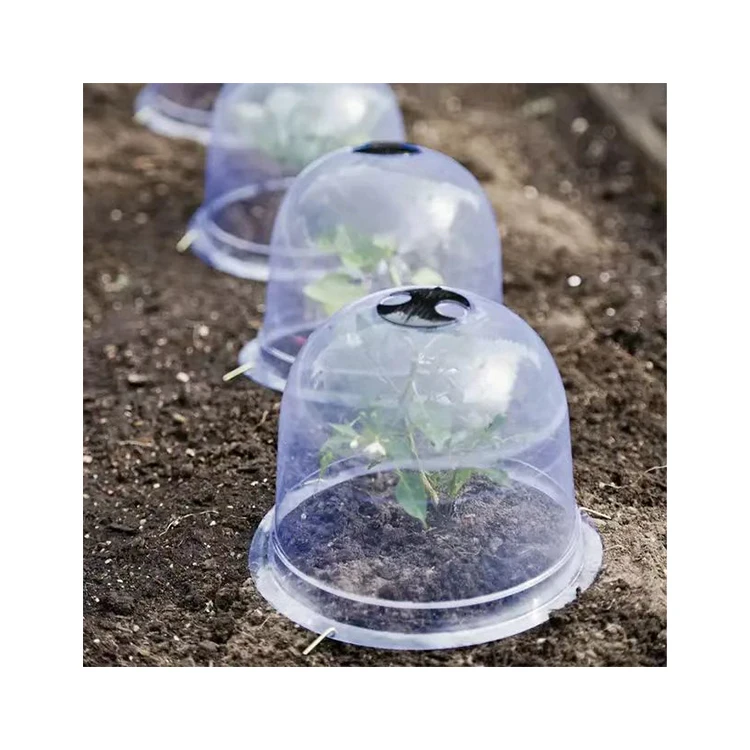 Manufacturer Price Greenhouse Protector Cloche Plant Bell Cover For Sale
