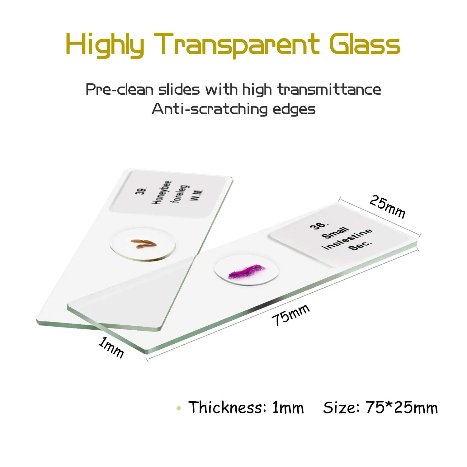 Mineral Slides Grinding for Microscope