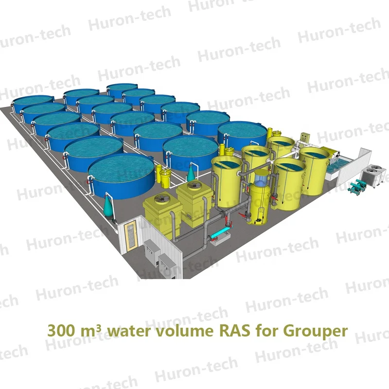 Indoor aquaculture RAS system fish farming equipment for sale
