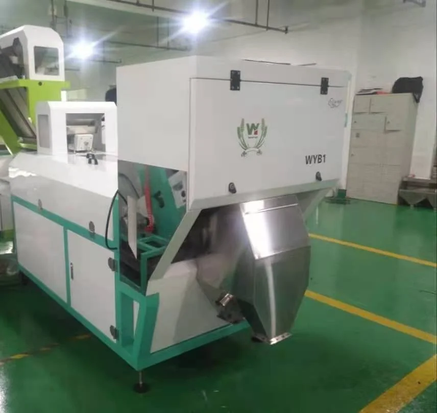 Pixel WENYAO CCD Optical Peeled Garlic Peanut Macadamia Nuts Pistachio Unpeeled Garlic Colour Sorting Machine