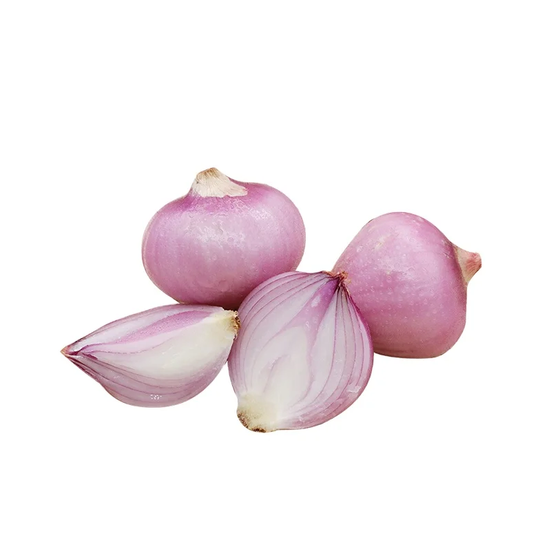 chinese yellow onions ferma onion vegetable the quality onion seeds for sale