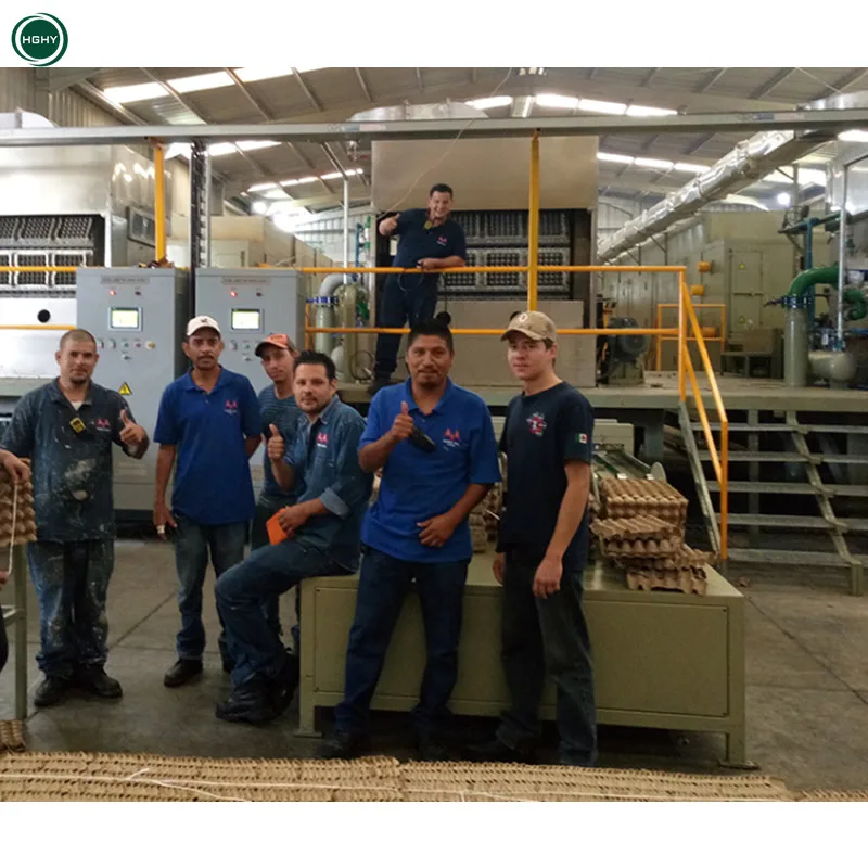 Hghy Cheap Make Egg Boxes Carton Plate Machinery Waste Paper Pulp Molding Recycling Production Line Egg Tray Making Machine
