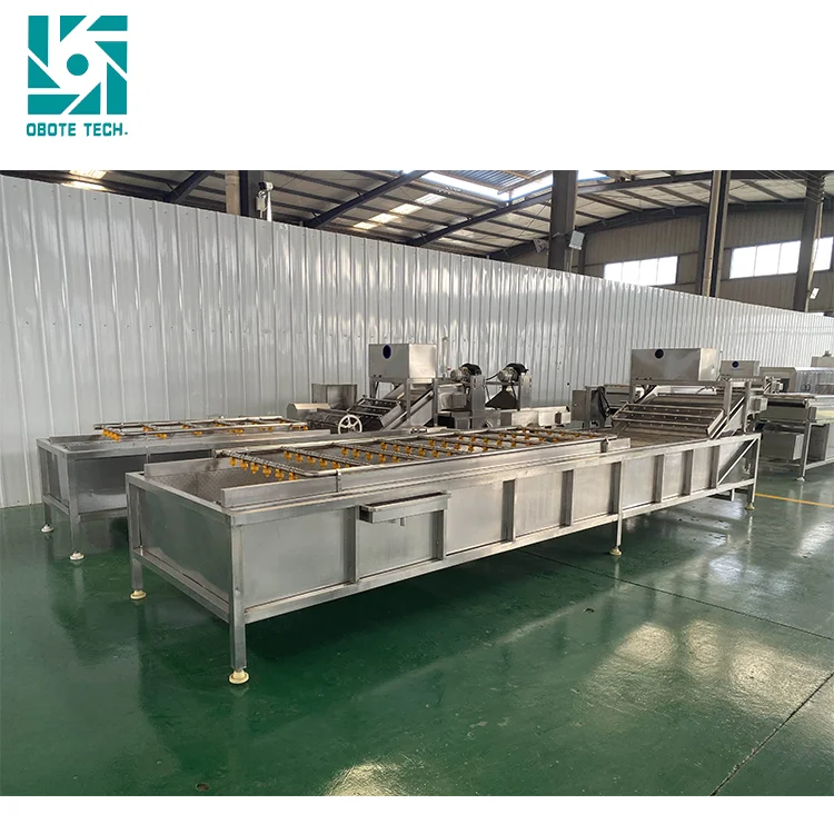 stainless steel meat washer mini carrot washing machine