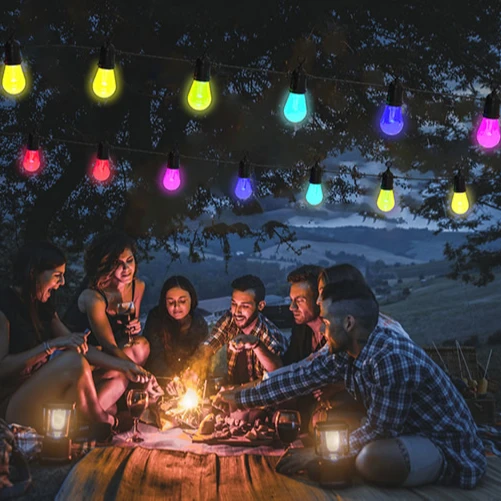 Tuya Smart IR Wifi BT APP Control Color Changing Outdoor Waterproof Led Bulb Strip Holiday Christmas Decoration Light