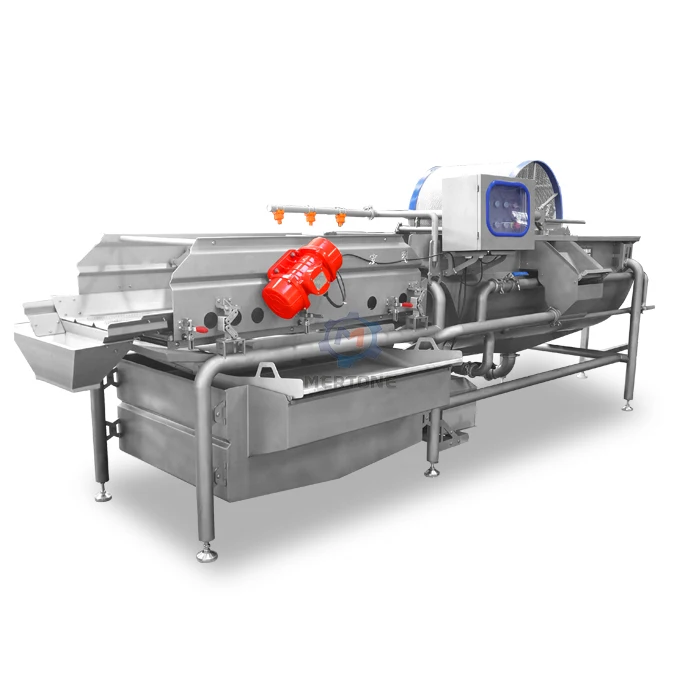 Fresh Vegetable Bean Sprout Bubble Washing Machine