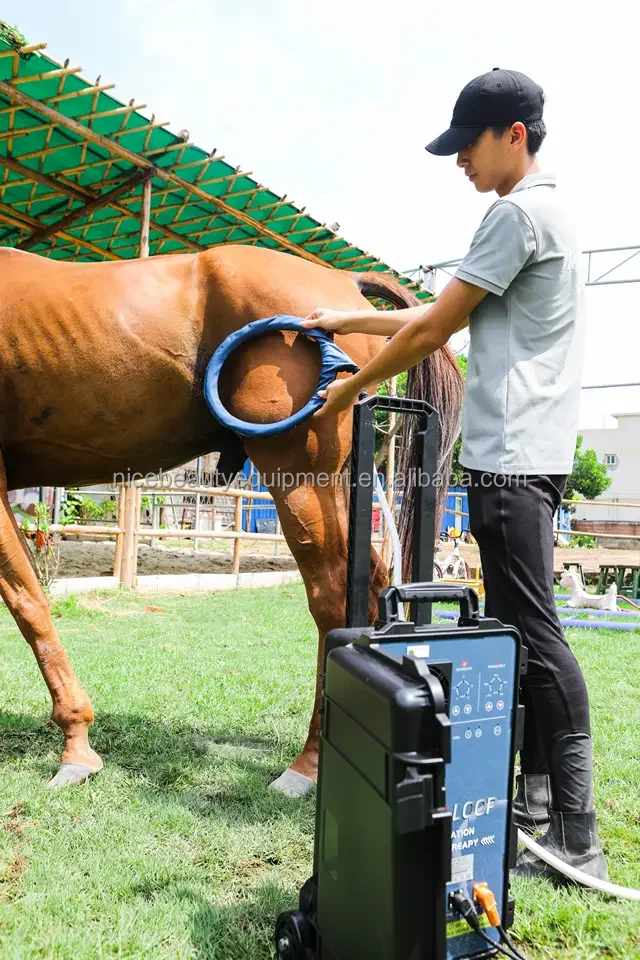 2024 New Year Promotion! Animal Care Machine Physio Magnawave Horse Magnetic Therapy PEMF VET Therapy Machine