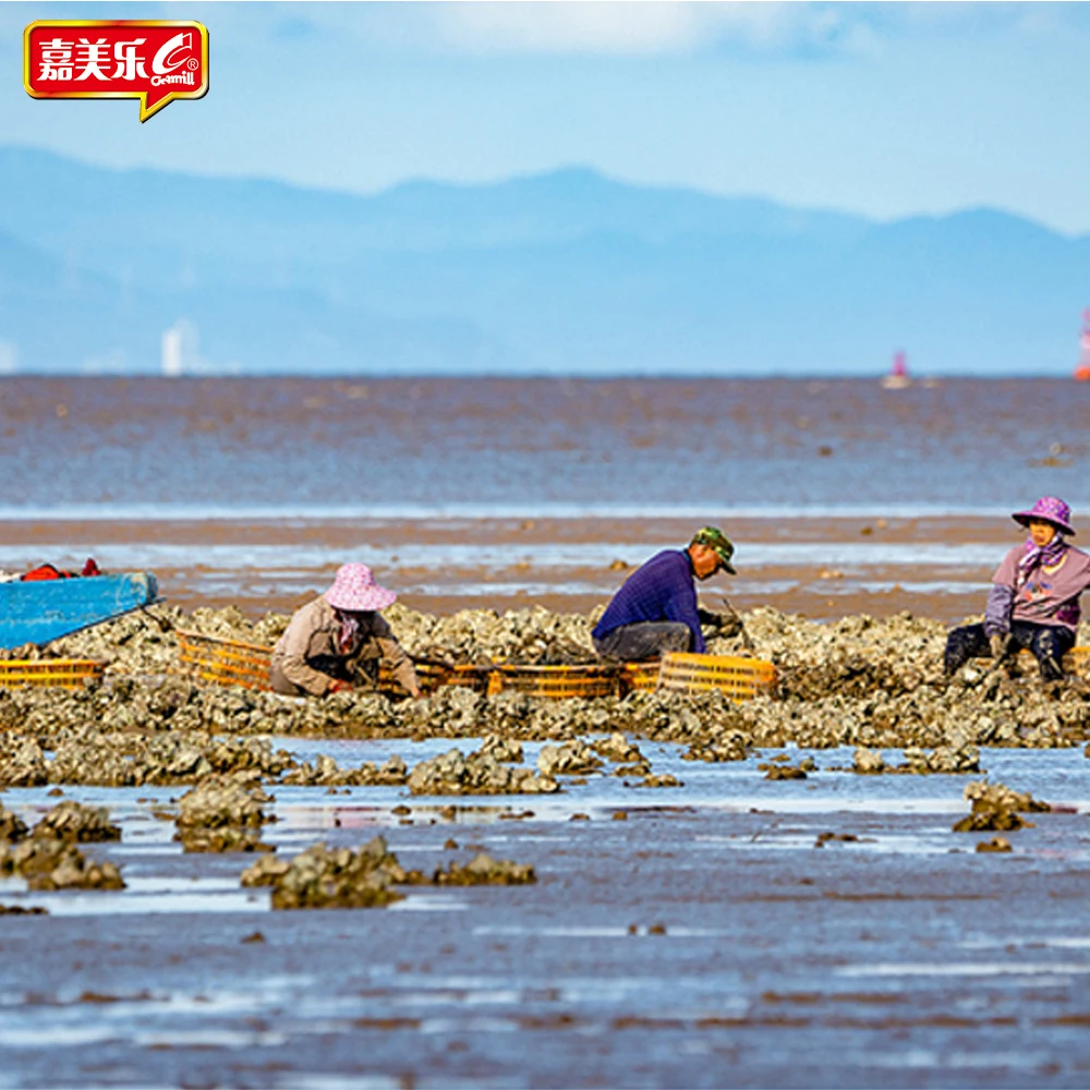 Бесплатные образцы оптовая продажа вьетнамские морепродукты приправы соевый Премиум устричный соус