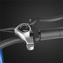 1500w E-bike Factory Wholesale 23ah Battery 26x4.0 Inch Fat Tire Ebike Dual Motor Electric Bike