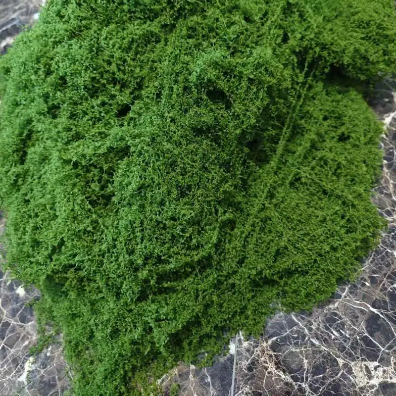 Factory Price Preserved Wall Moss For Arrangement Decor Real Natural Stabilized Reindeer Moss Panel Wholesale Everlasting Moss