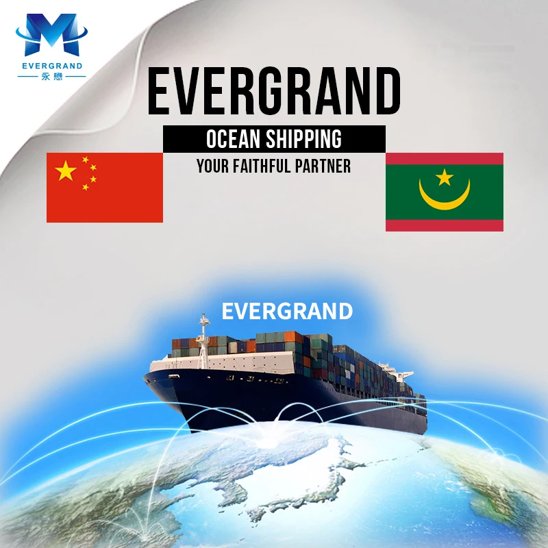 Надежный морской экспедитор из Китая в Мавританию/нуакчотт/Нуадибу