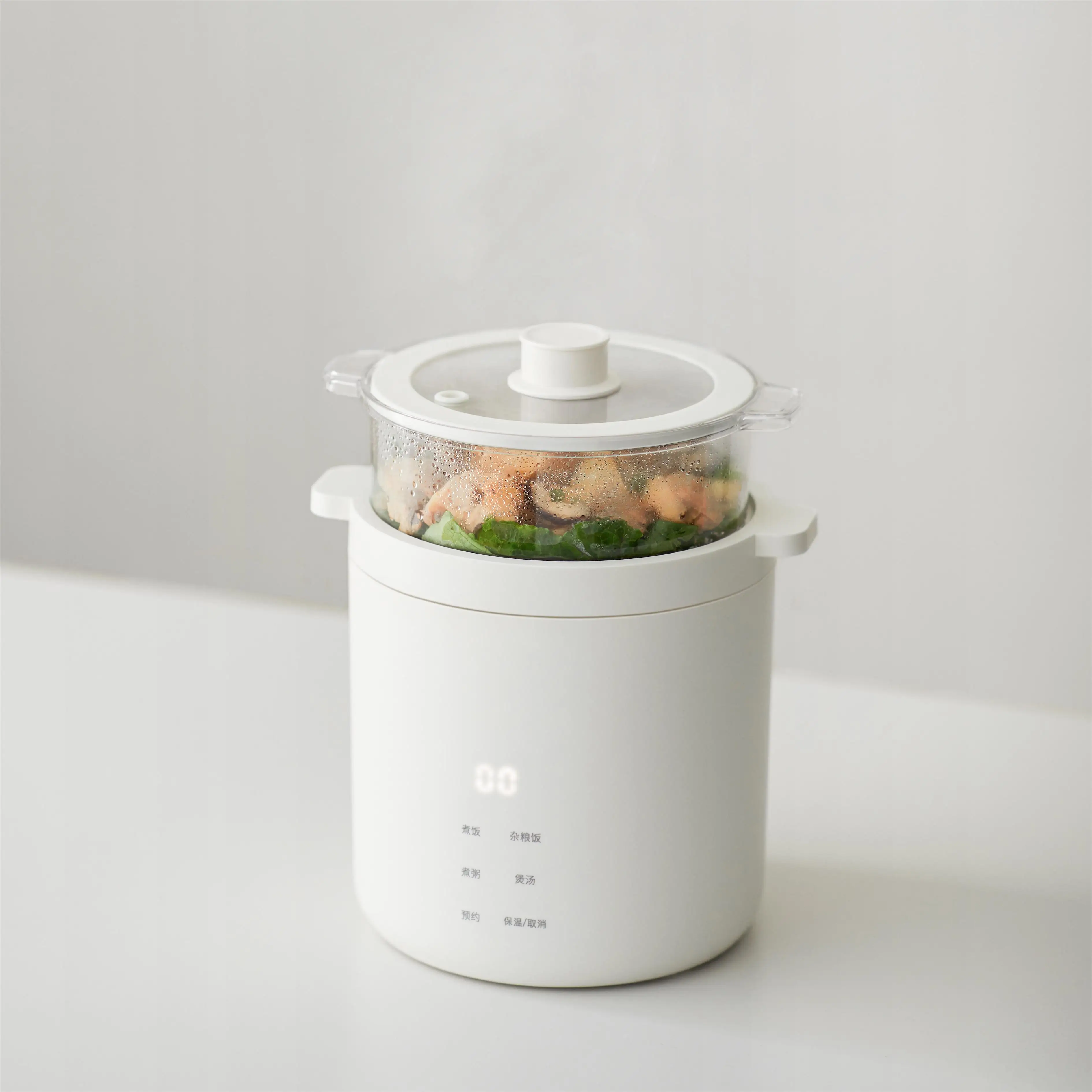 Multi-Function Rice Soup Pasta Porridge Cooker Mini Electric Hot Pot Ramen Cooker Non-Stick Pot with Steamer