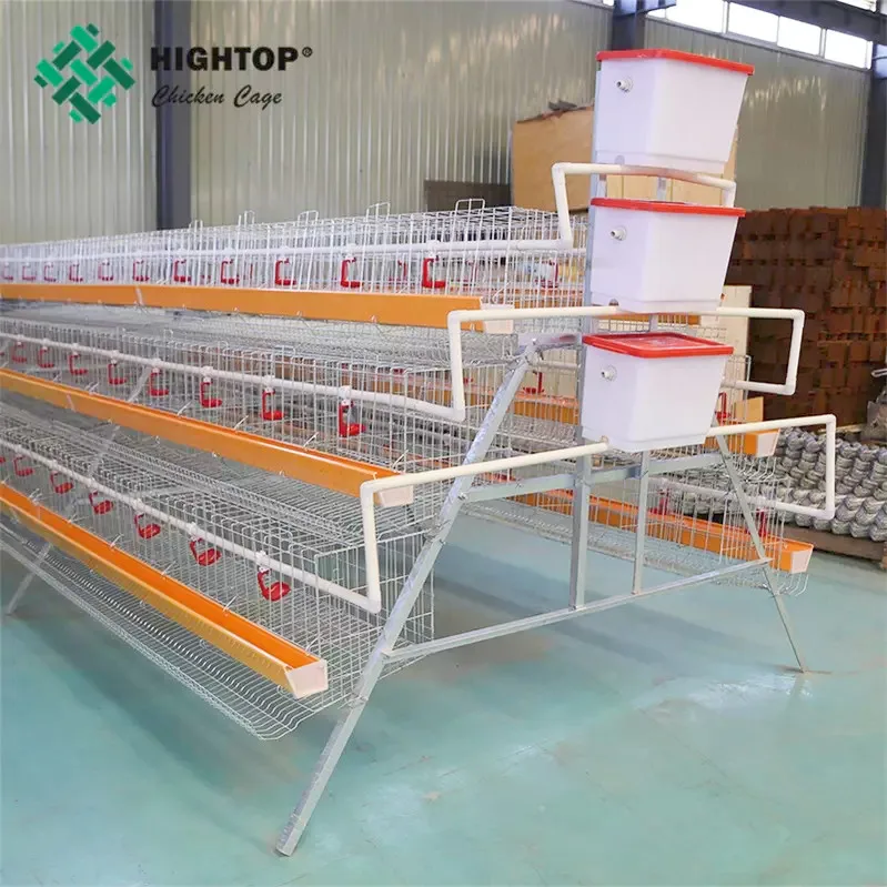 Оборудование для птицефермы