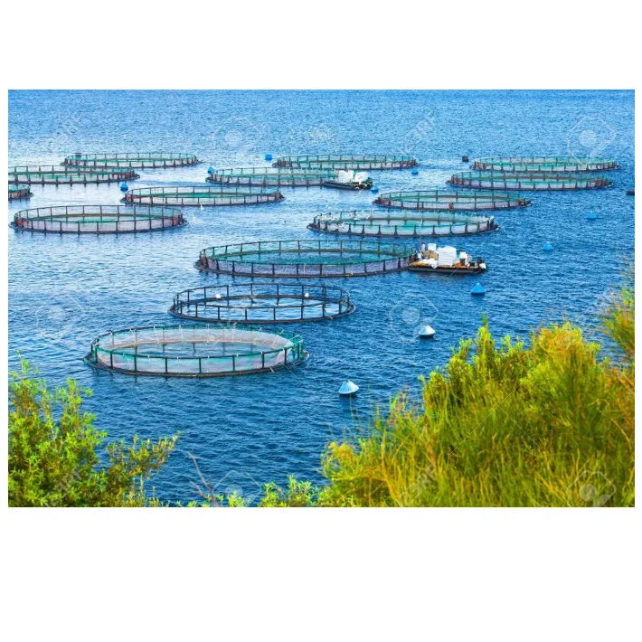 PE fish farming deep water plastic floating net cage